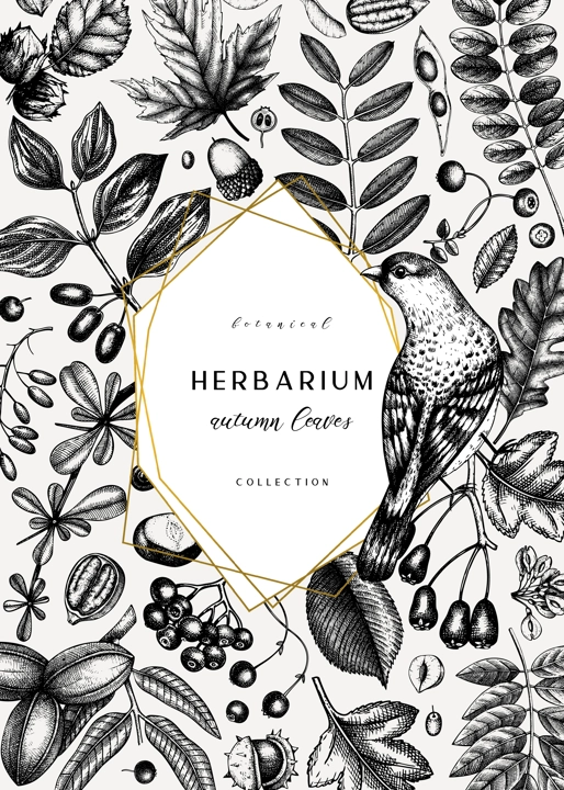 Hand sketched autumn card design. Elegant botanical template with autumn leaves, berries, seeds and bird sketches. Perfect for invitation, cards, flyers, menu, label, packaging.